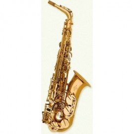 Saxofon Alto Buffet Profesional BC8401-1-0 - Envío Gratuito