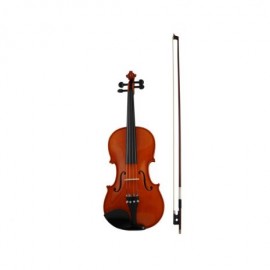 Violin Profesional 920B Stradivarius - Envío Gratuito